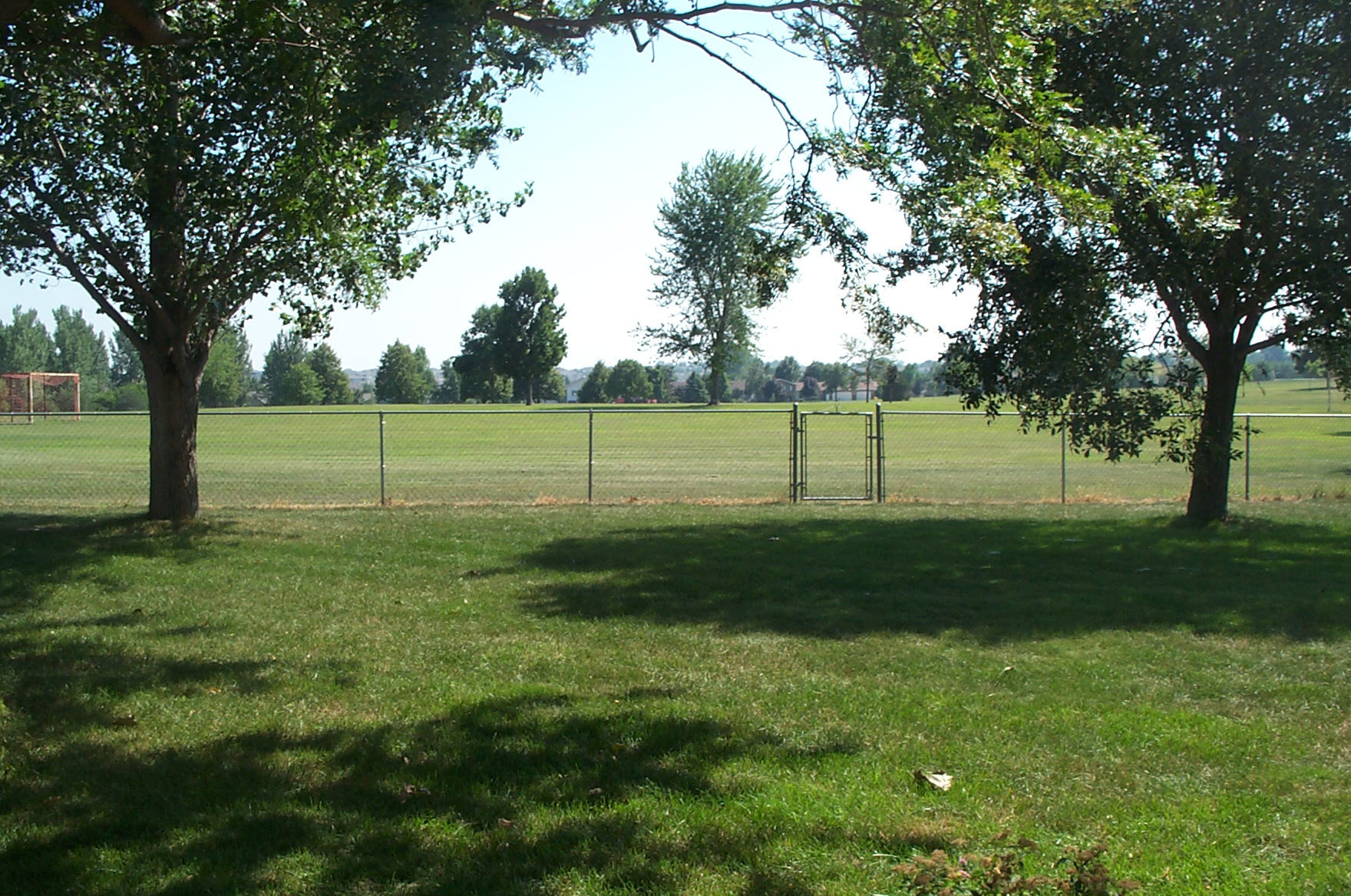 Wednesday, August 08, 2001 (Image #6).jpg (603546 bytes)